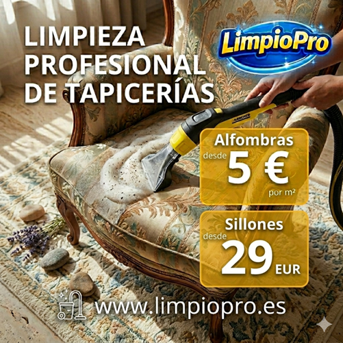 Cuánto cuesta limpiar un sofá profesionalmente en Madrid